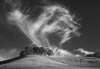Tall cloud over Diablo Foothills (#5D9979bw)