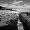 Drakes Beach morning, 2017 (#6173.3)